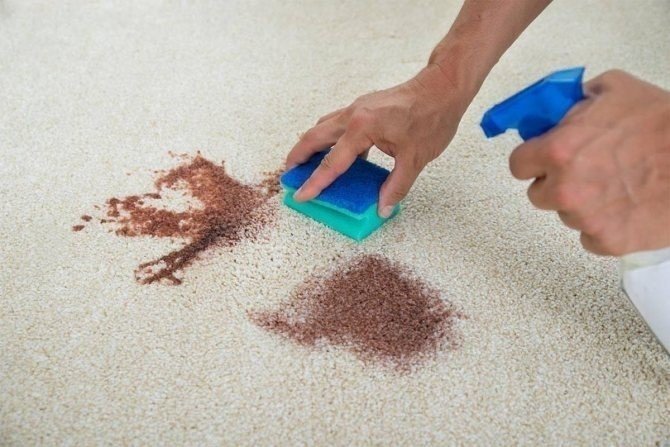 Чем почистить палас в домашних условиях от грязи и пятен на полу