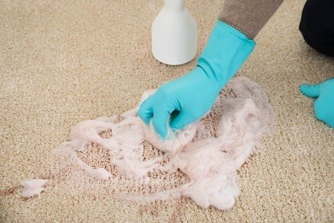 Средство для чистки ковров в домашних условиях
