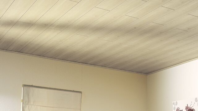 Потолок из пластиковых панелей на кухне