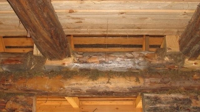 Как визуально увеличить высоту и поднять потолок в частном деревянном доме
