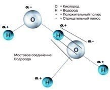 Схематическое изображение молекулы воды