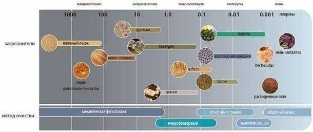 Фазы роста микроорганизмов микробиология