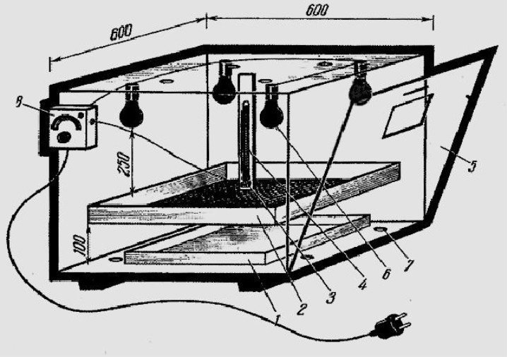 Инкубатор своими руками в домашних условиях
