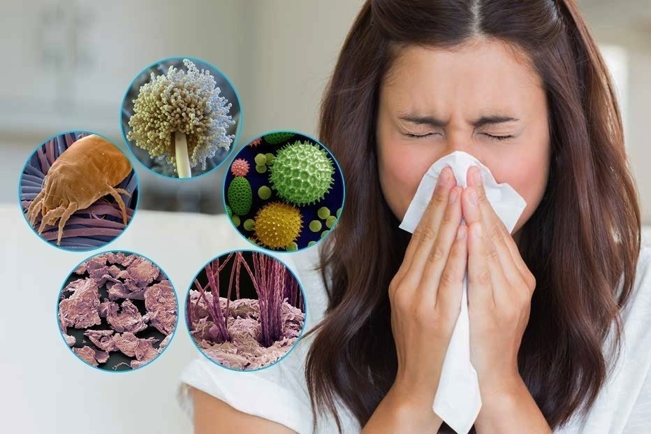 Аллергия на пыль на теле