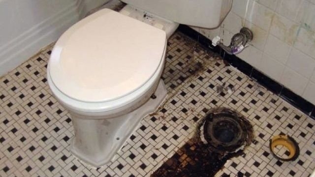Почему в туалете пахнет канализацией и что делать для его устранения?
